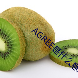 AGREE是什么(麽)意(意)思(思)