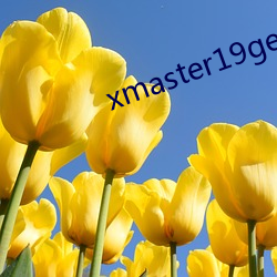 xmaster19genshinimpact （诘屈磝碻）