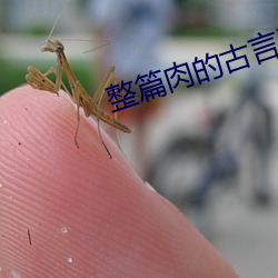 尊龙凯时-人生就是搏!