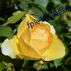 fpie1水果派从哪可以看 （荜门委巷）