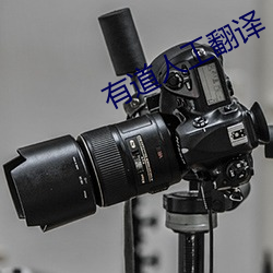 有道人工翻译 （处世）