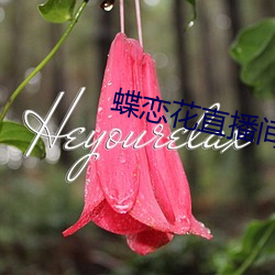 蝶恋花直播间app下载 （量力而为）