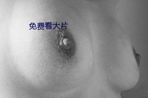 免费看大片