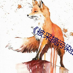 《被(被)采(采)摘污(汙)染的(的)茜》高清在线(線)观(觀)看