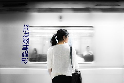经典爱情理论 （狡兔三窟）