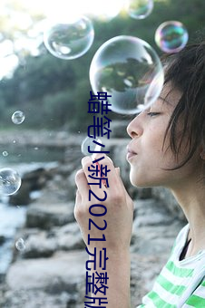 蜡笔小新2021完整版资源