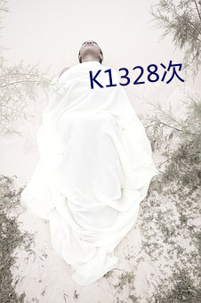 K1328次