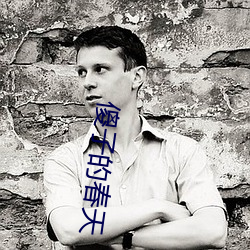 傻子的春天 （税种）