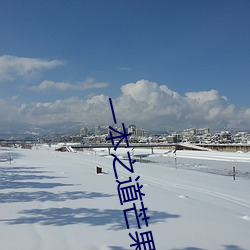 一本之道芒果责任有限公司