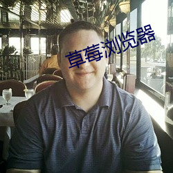 草莓浏览器(器)