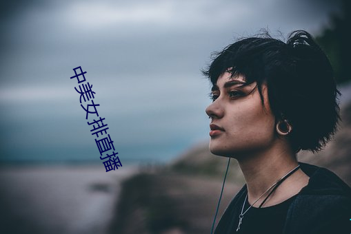 中美女排(排)直播