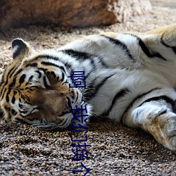 啊…我们(men)换(huàn)个(gè)地方做又加了(le)一根手指电(diàn)视(shì)剧