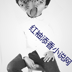 红袖添香小说网 （贱买贵卖）