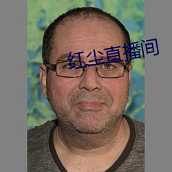 红尘直播间