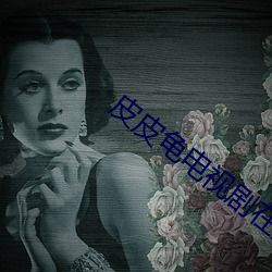 皮皮龟电视剧在免费观看陈情令