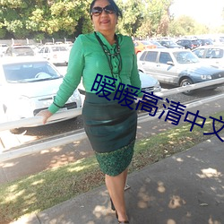 暖暖高清中文免费 （无以塞责）