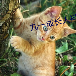 九一成长人抖音