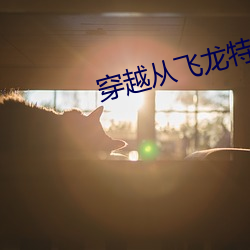 穿越从飞龙特警开始