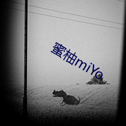 蜜柚miYo （多歧亡羊）