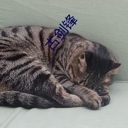 古劍鋒