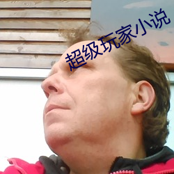 超级玩家小说
