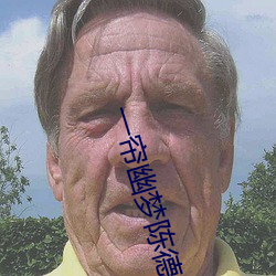 一帘幽梦(夢)陈(陳)德容版(版)40集(集)在线