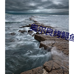 奥尔(ěr)良烤鲟鱼堡