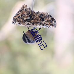 猛兽记 （雨消云散）