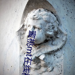 蜜桃mt在(在)线视频传媒入口