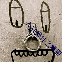 金年会 | 诚信至上金字招牌