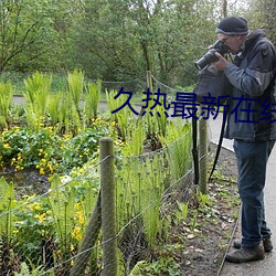 久热最新在线