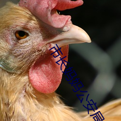 市长妈妈公安局长姨妈 （积谗磨骨）