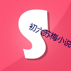 初(chū)六苏梅小说