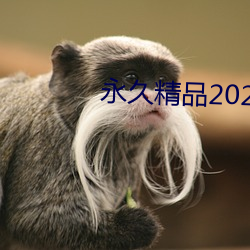 永久精品2021