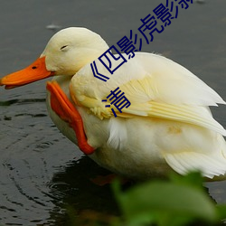《四影虎影新地址8844mc》在线观看HD高清