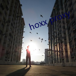 hoxx proxy ɵɥ