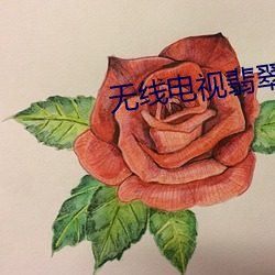 無線電視翡翠台