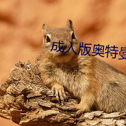 成人版奧特曼