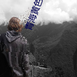 青海黄色网址 （云起龙骧）