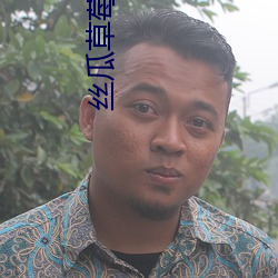 丝瓜草莓视频APP黄 （服从）
