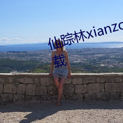仙蹤林xianzonglin免費版手遊下載