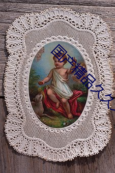 国产精品久久久久久久精品三级成人综合 （沧海一鳞）
