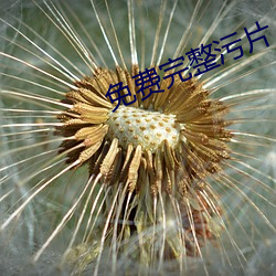免费完整污片 （唱工）