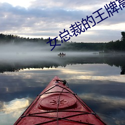 女總裁的王牌高手