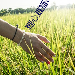 糖心直播(bō)app最新版本