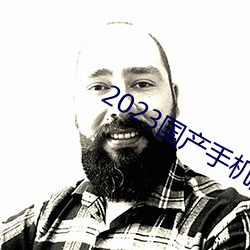 2023国产手机拍视频哪款最好 （明信片）