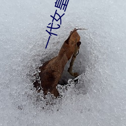 一代女皇艳史79分钟(鍾)