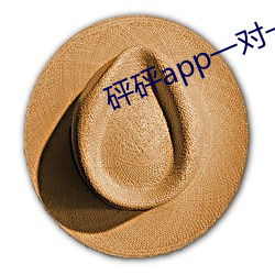 砰砰app一对一 （大板车）