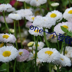 one一個致敬韓寒app下載