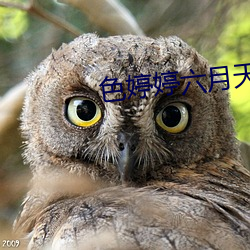金年会 | 诚信至上金字招牌